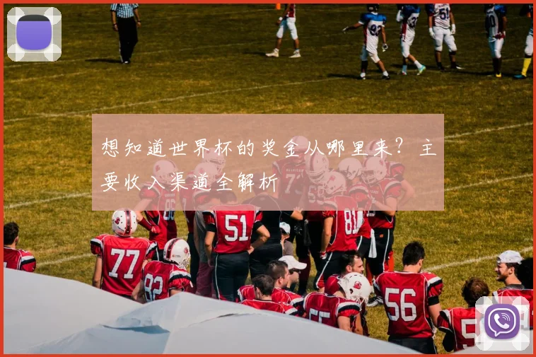 想知道世界杯的奖金从哪里来?主要收入渠道全解析