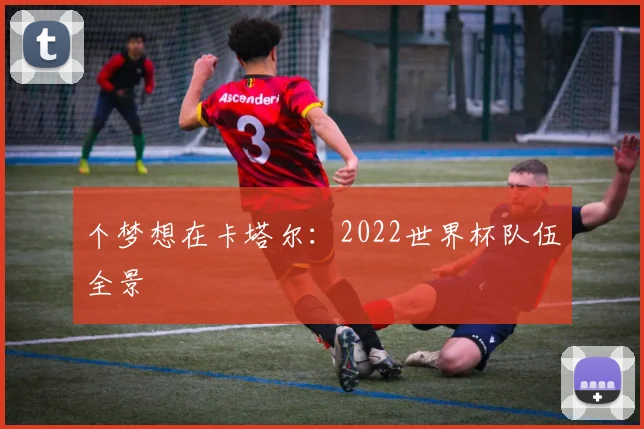 个梦想在卡塔尔：2022世界杯队伍全景