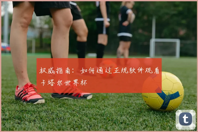 权威指南：如何通过正规软件观看卡塔尔世界杯