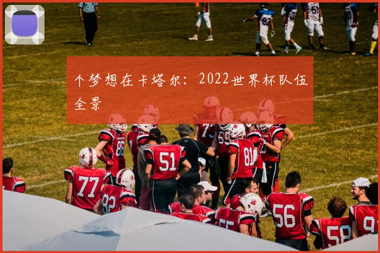 个梦想在卡塔尔：2022世界杯队伍全景